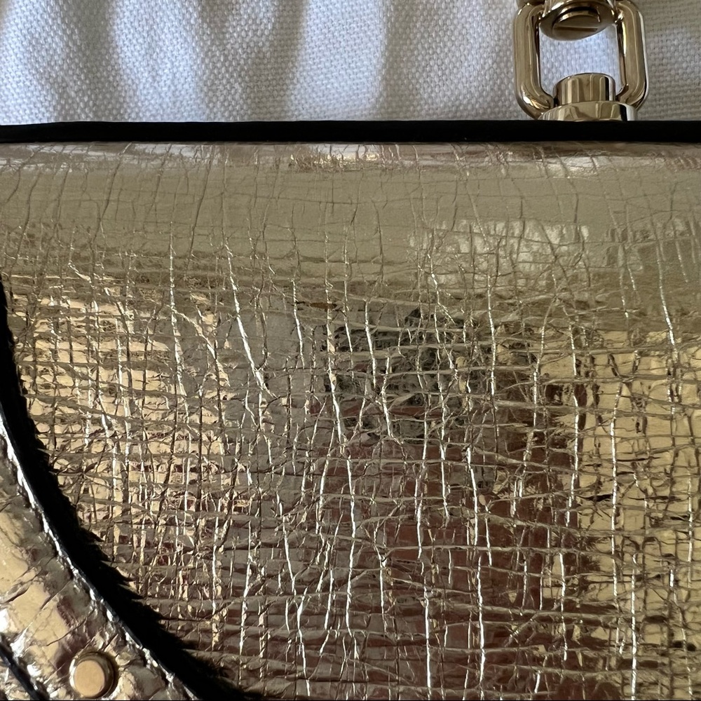 Chloe small Nile metallic leather minaudiere - Picture 5 of 10